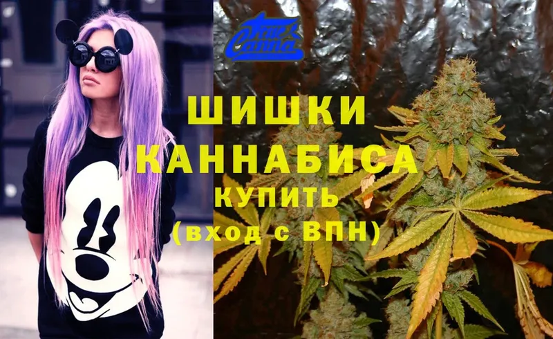 Канабис White Widow  Электрогорск 